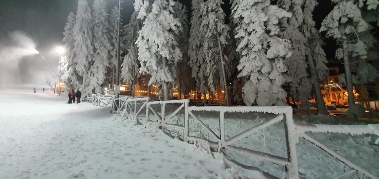 Fox Boutique Apartment Borovets Gardens Екстер'єр фото