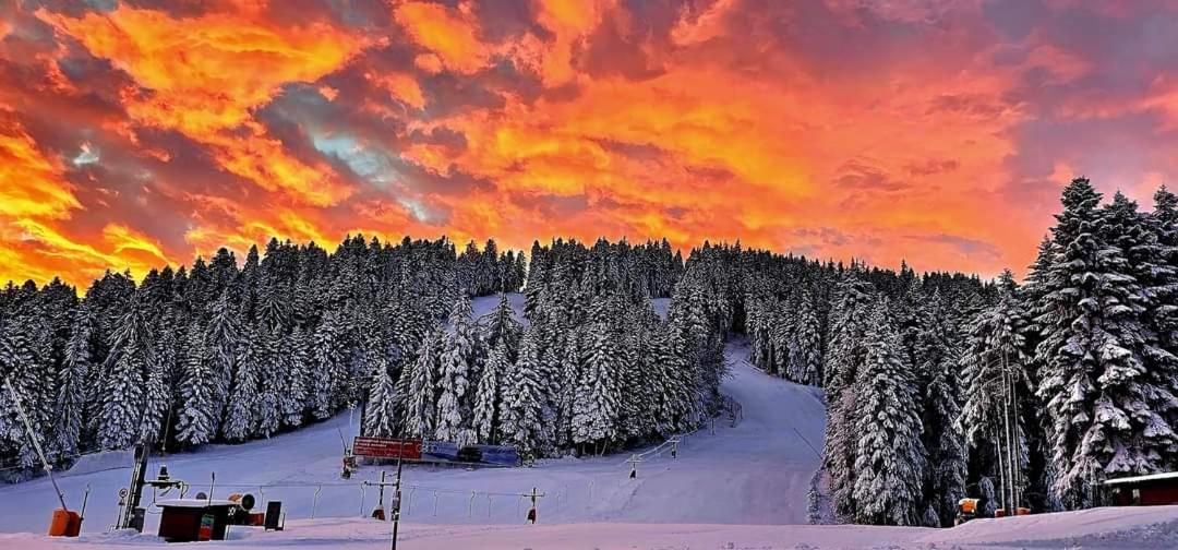 Fox Boutique Apartment Borovets Gardens Екстер'єр фото